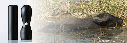 黒水牛[染　芯持]