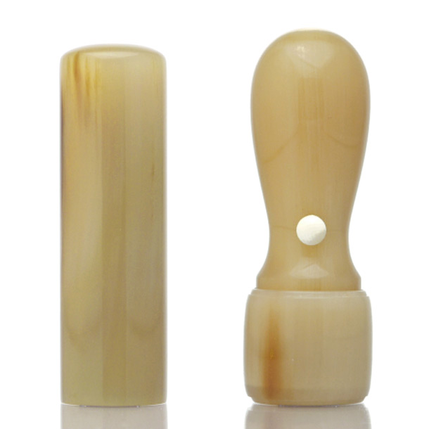 オランダ水牛[牛角・色上]