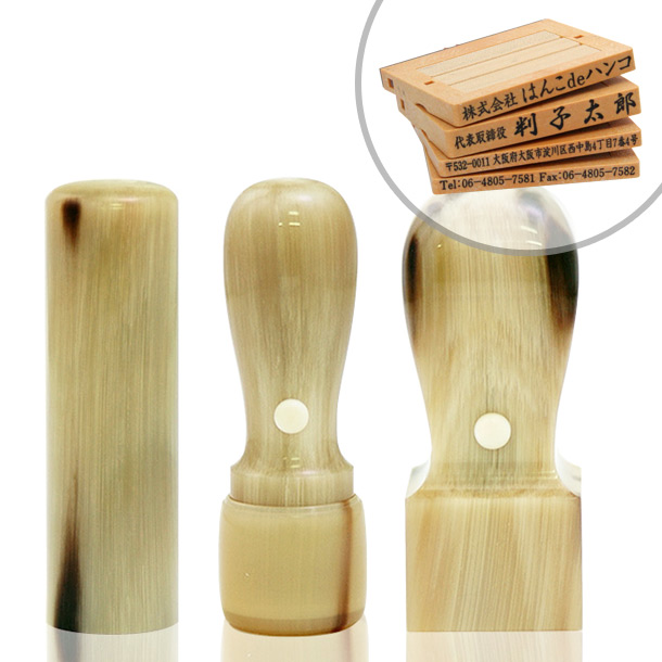 オランダ水牛[牛角・ナチュラル]