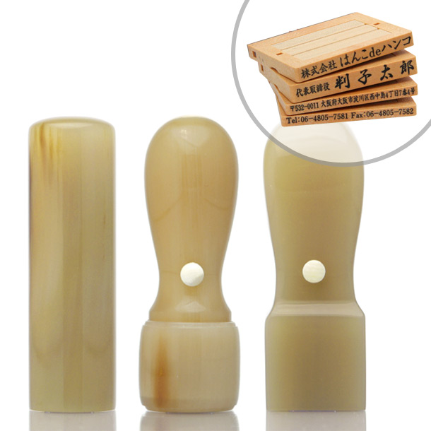 オランダ水牛[牛角・色上]