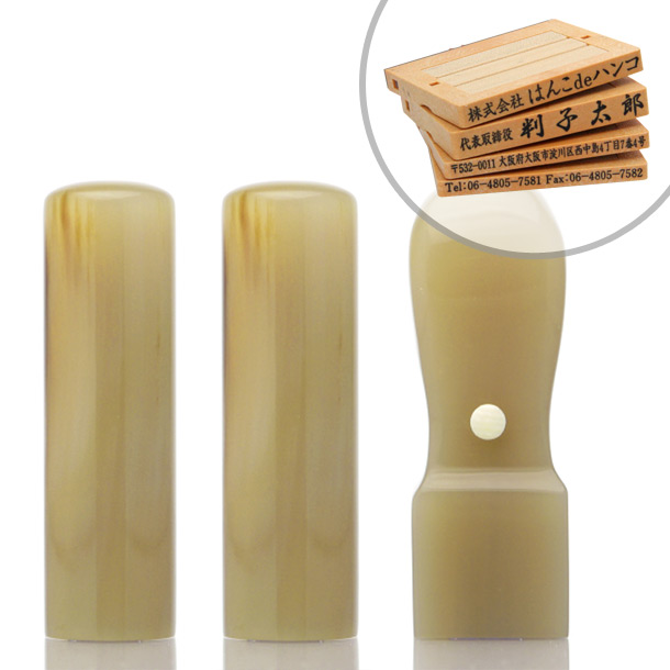 オランダ水牛[牛角・色上]