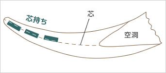 芯持って何？？