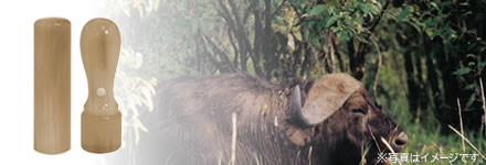 オランダ水牛 [牛角・特上]